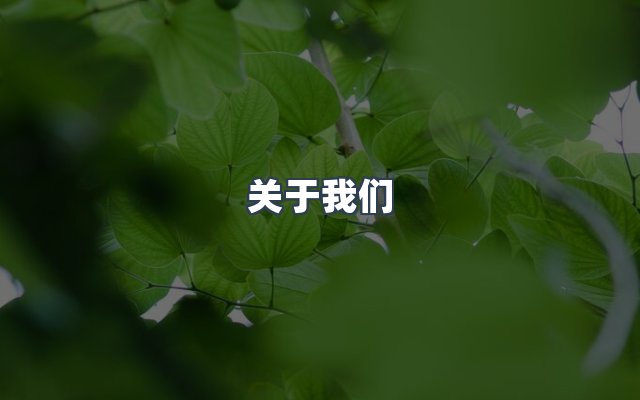 团队合作